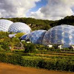 The Eden Project