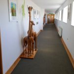 The Bedruthan Giraffe Corridor